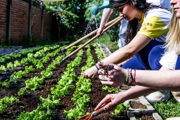 oficinanews_projetogirassolescolarosario