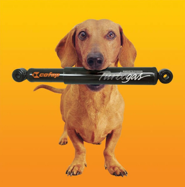 Magneti Marelli ultrapassa a marca de 1.000 códigos de amortecedores Cofap