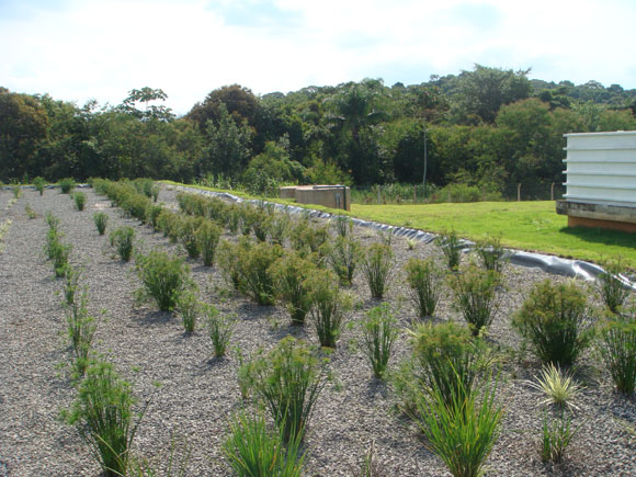 Fábricas da GM Brasil são destaques internacionais em meio ambiente