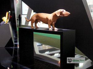 Esse cachorrinho dispensa apresentações 