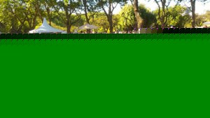 Insólita mescla de carro de corridas com lancha, a Marea Alfa Romeo