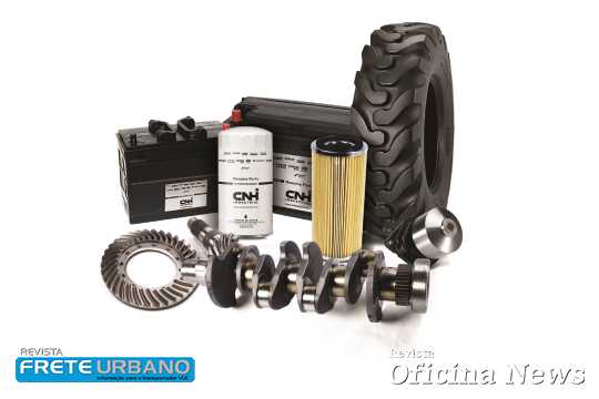 base para fotos do site