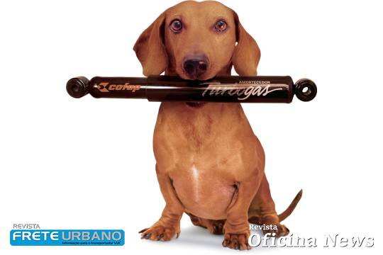 Base para foto do site 2022 (12)