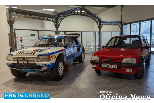 peugeot 205 (2)